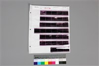 藏品(135黑白負片A-5-34)的圖片